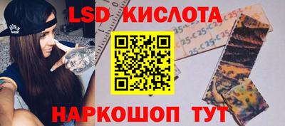 прущие грибы Кунгур