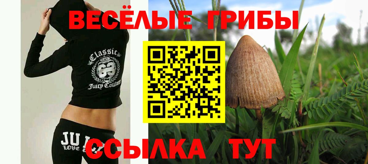 Галлюциногенные грибы Cubensis Великий Устюг