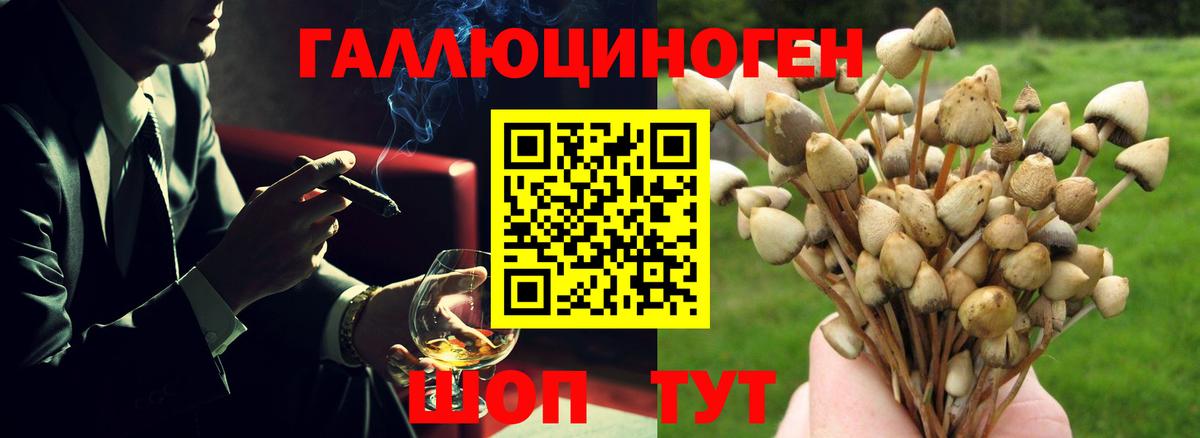 Галлюциногенные грибы мицелий  Псилоцибиновые грибы MAGIC MUSHROOMS  Великий Устюг  Вход с VPN 